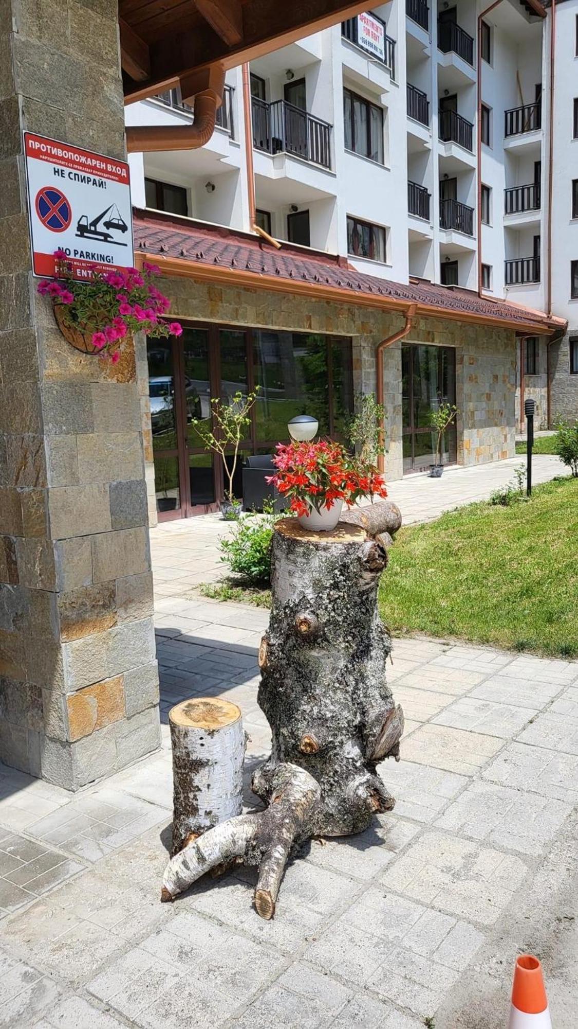 Pm Services Borovets Garden Apartments Ngoại thất bức ảnh
